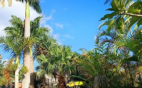 Studio dans les Hauts de Saint-Leu (Réunion)